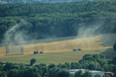 Scenic view of trees on land