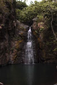 Scenic view of waterfall in forest