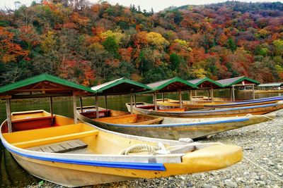 Boats moored on beach by trees against sky