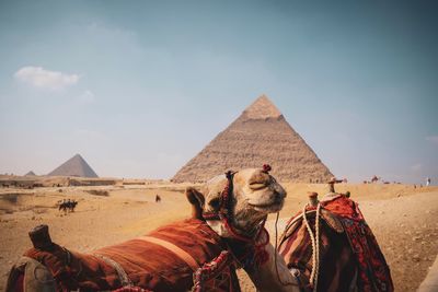 View of a camel at the pyramids against sky