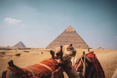 View of a horse on desert against sky