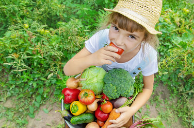 High angle view of cute girl picking vegetables