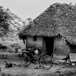 Bicycle against trees