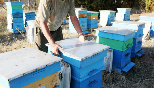 Preparing honey bees for winter