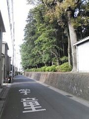 the way forward, transportation, road, tree, street, diminishing perspective, road marking, built structure, architecture, building exterior, vanishing point, day, empty, car, outdoors, empty road, no people, mode of transport, narrow, long