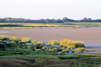 Scenic view of land against sky