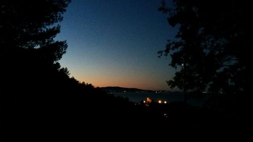 Silhouette of trees at night