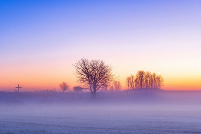 Bare trees on snow field against sky during sunset