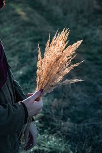 Midsection of woman holding dry grass