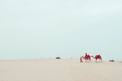 People riding motorcycle on desert against sky
