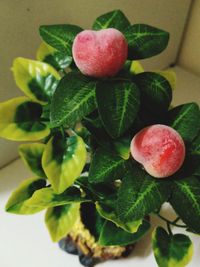 Close-up of strawberries on table