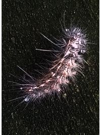 auto post production filter