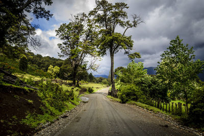 Road amidst trees against sky