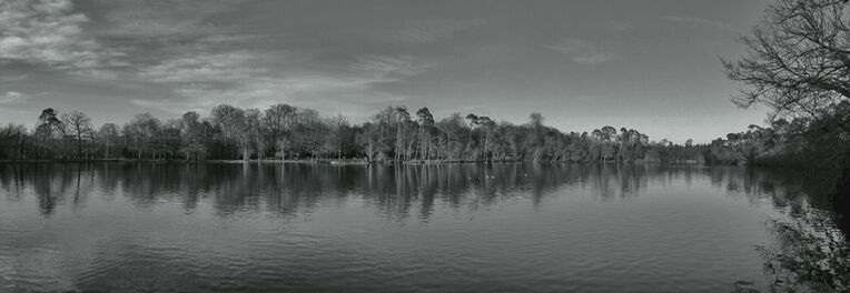 tree, water, tranquil scene, lake, tranquility, sky, reflection, waterfront, scenics, beauty in nature, nature, cloud - sky, river, idyllic, cloud, calm, outdoors, no people, non-urban scene, standing water