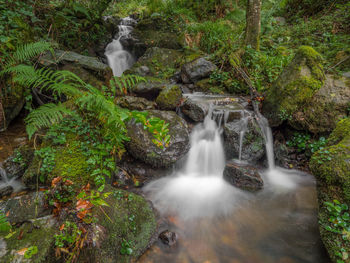 Waterfall in forest