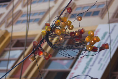 Low angle view of lanterns hanging on cable