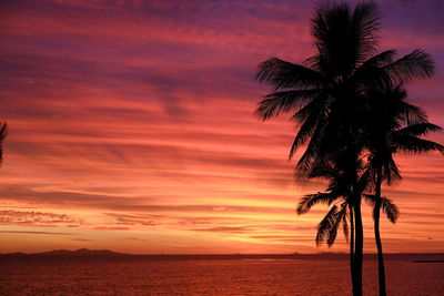 Palm tree at beach against sky during sunset