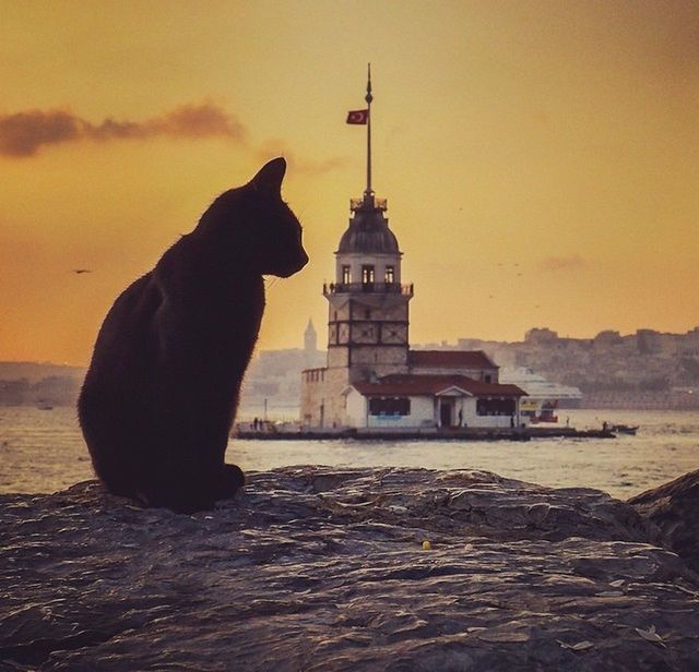 Üsküdar