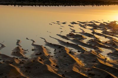 Scenic view of sea at sunset