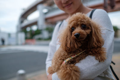 Close-up of woman holding dog