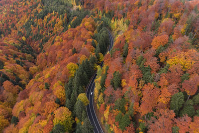 High angle view of a beautiful mountain road cutting through the colorful forest, in transylvania