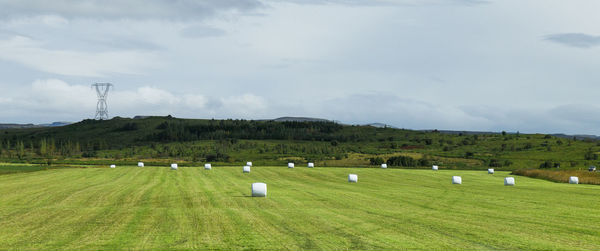 Scenic view of agricultural field against sky
