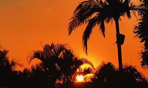 Silhouette palm trees against romantic sky at sunset