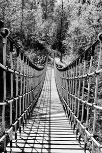 View of footbridge in forest