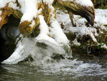 Close-up of frozen water