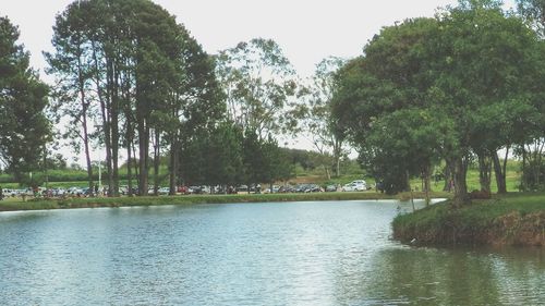 Scenic view of trees by river against sky