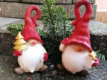 Close-up of christmas tree