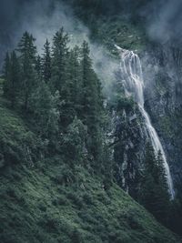 Scenic view of waterfall in forest