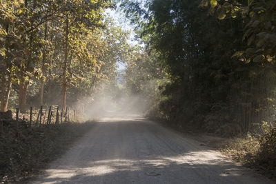 Road amidst trees in forest