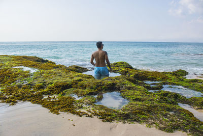 Rear view of shirtless man standing at beach