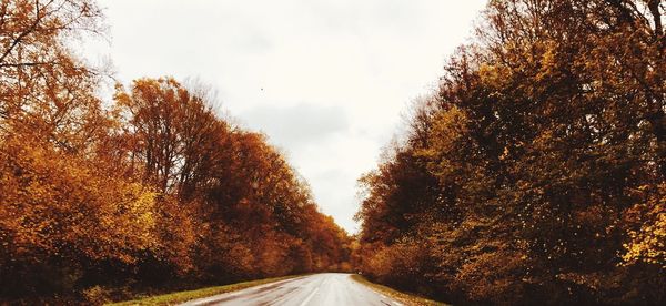 Road amidst trees against sky during autumn