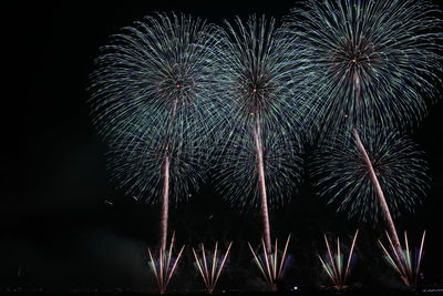 Low angle view of firework display at night