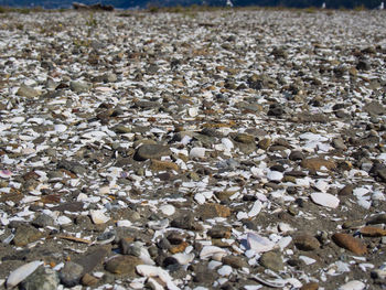 Stones on pebbles