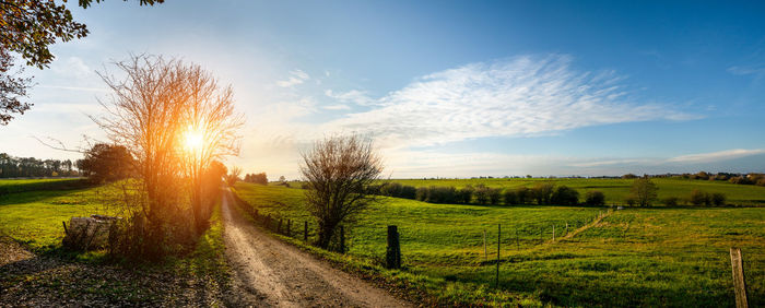 Scenic view of field against sky during sunset