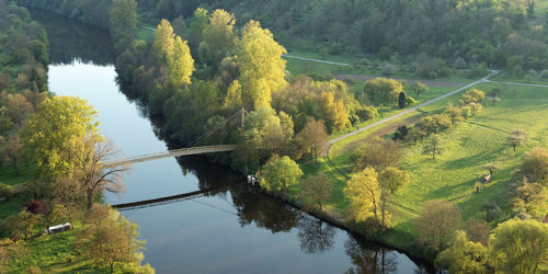 High angle view of river amidst trees