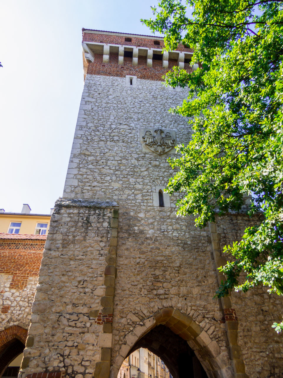 architecture, built structure, building exterior, history, the past, building, nature, tree, low angle view, travel destinations, plant, no people, wall, day, travel, tower, old, sky, castle, arch, tourism, fort, outdoors, city, medieval, ancient, château, religion, house, place of worship, stone material