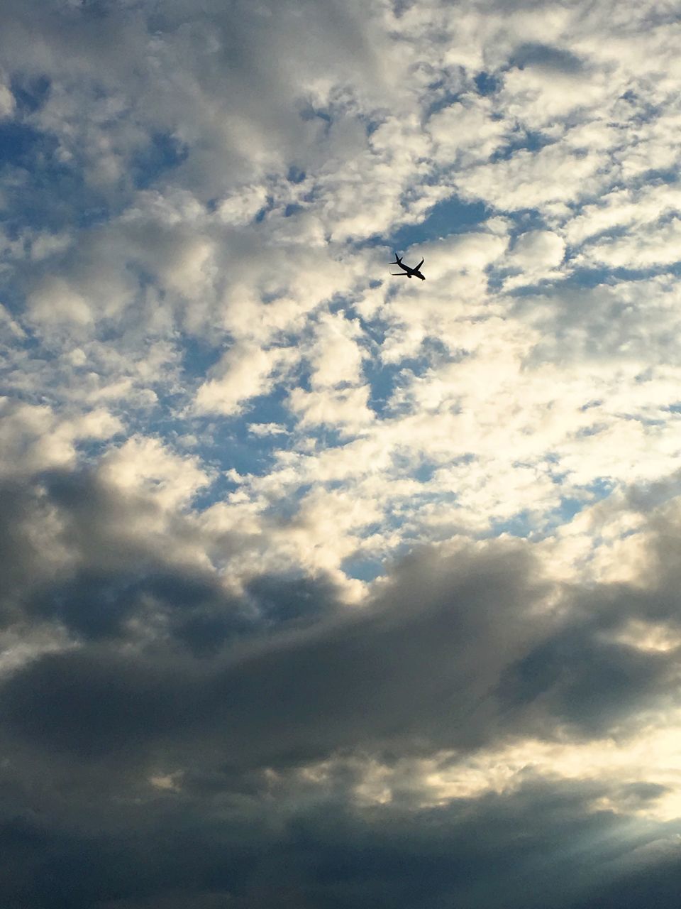 LOW ANGLE VIEW OF A BIRD FLYING IN SKY