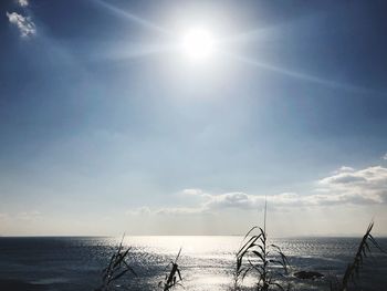 Scenic view of sea against sky on sunny day