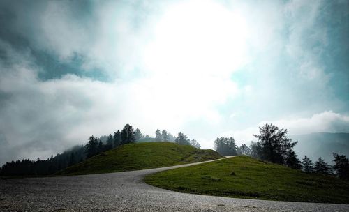 Panoramic shot of road amidst trees against sky