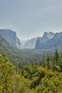 Views of yosemite national park valley in northern california.