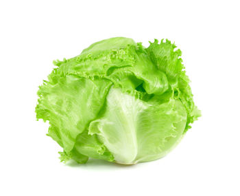 Close-up of leaf against white background