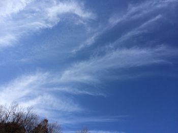 Low angle view of trees against cloudy sky