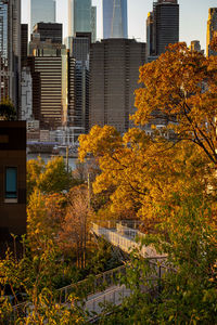 Trees and modern buildings in city during autumn