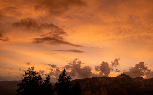 Silhouette trees against dramatic sky during sunset