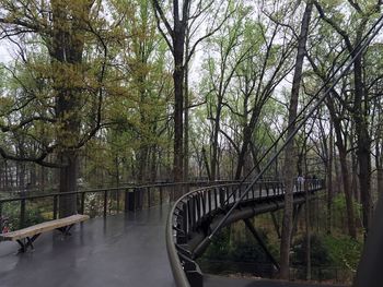 Footbridge over river in forest