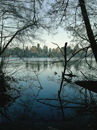 Reflection of tree in lake against sky